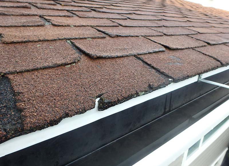 Reparatie van dakbedekking in Den Haag