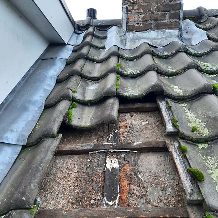 Daklekkage reparatie door Haaglanden loodgieter Den Haag